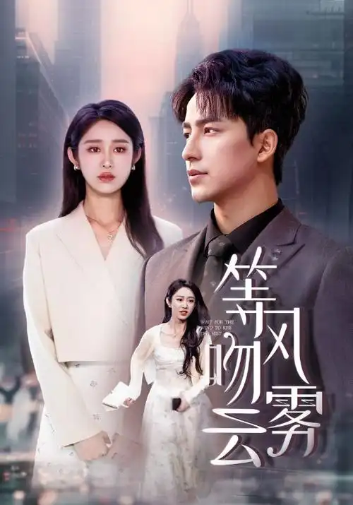 雾港来信 悬疑剧在线观看